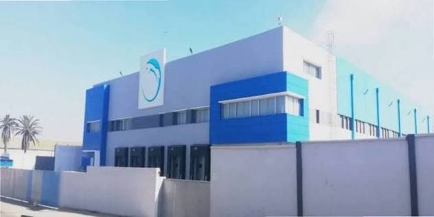 Unimer Swings to Profit in H1 2026 on Sardine Recovery, Posts MAD 29M Net Income